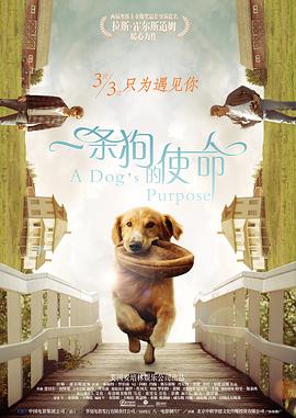 看片视频在线观看