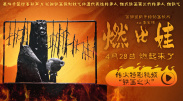 91视频黑丝