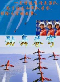 陪伴姨妈