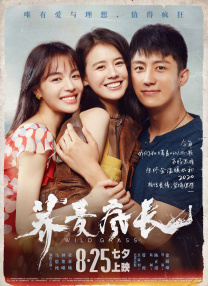 六月丁香色婷婷