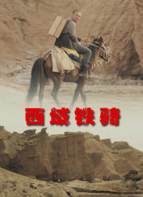 国产综合久久久久