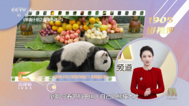 亚洲一区免费看