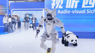 a毛片视频